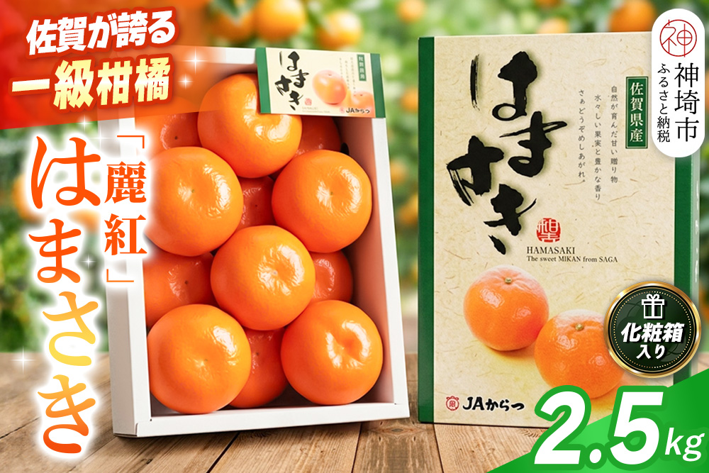 【2027年2月上旬より発送開始】【麗紅】はまさき 2.5kg【みかん 一級品 柑橘 フルーツ デザート】(H116144)