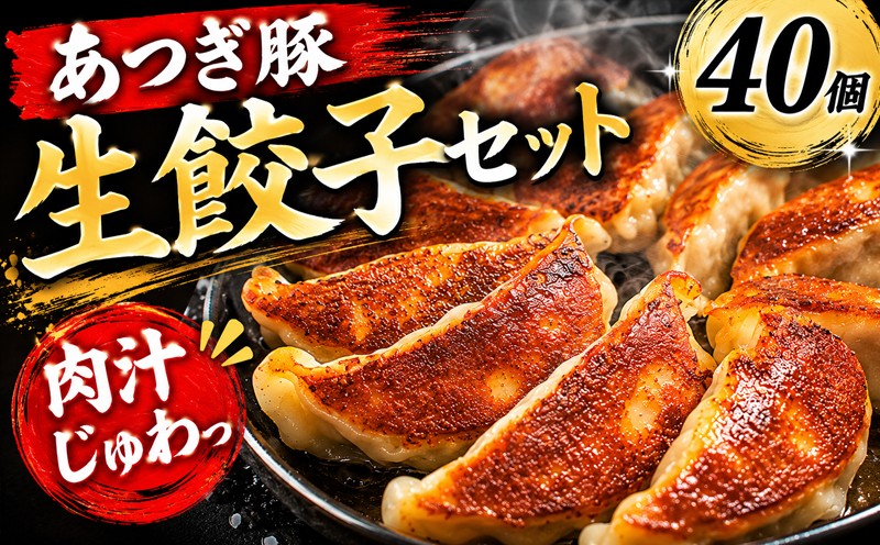 
                  餃子 生餃子 ぎょうざ 1個 約 30g 40個 10,000円 大きい 冷凍餃子 焼き餃子 ギョーザ 肉餃子 冷凍食品 中華 あつぎ豚 あつぎ豚餃子 神奈川県 厚木市 株式会社うすいファーム UIF010
                