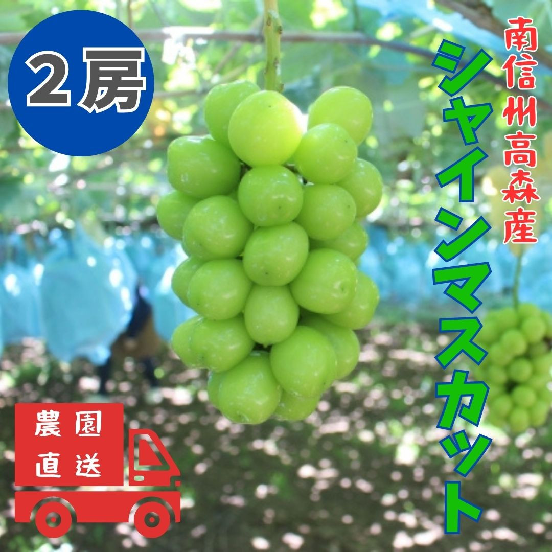 
                  【南信州高森産】シャインマスカット 2房 長野県 信州 農家直送 果物 くだもの ぶどう 旬のぶどう シャイン 鶴屋農園
                