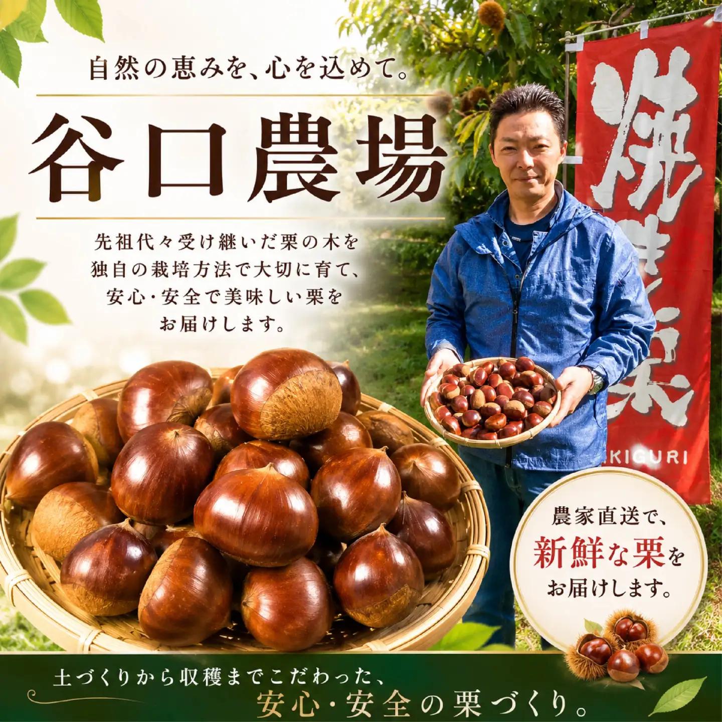 熟成 生栗 約1kg (3Lサイズ)  つやつや 大粒【谷口農場】