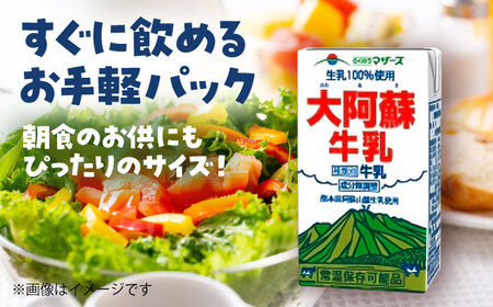 大阿蘇 牛乳 250ml×24本入 1ケース 成分無調整【一般社団法人クラッシーノこうし】[AYAB021]
