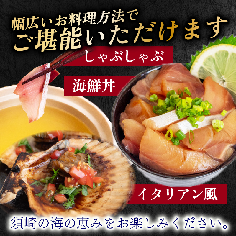 6ヶ月 定期便 旬 魚 刺身定期便 鮮魚