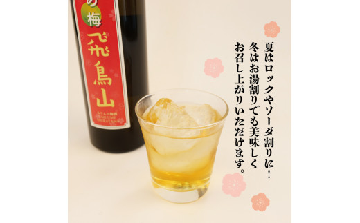 梅酒 みりん  飛鳥山 500ml 2本 セット 酒 アルコール 飲料 地酒 うめ酒 梅 栽培期間中 無農薬 麹 リキュール 純米本みりん 杉井酒造  静岡県 藤枝市 