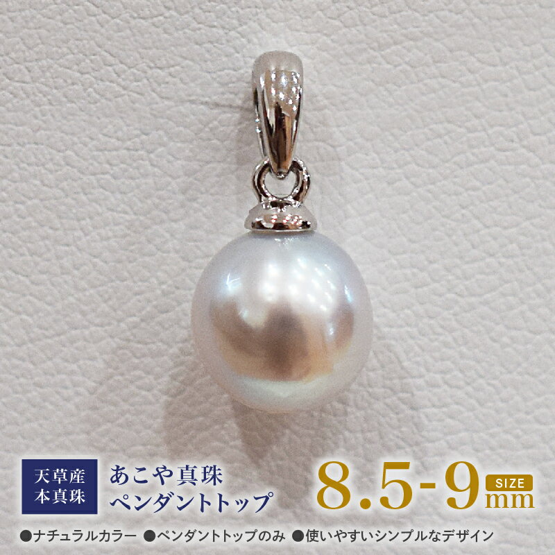 【ふるさと納税】あこや真珠 ナチュラルカラー 8.5mm - 9mm 1粒 天草産 本真珠 ペンダントトップ SV925 シルバー925 真珠 チェーンなし シンプル あこや貝 アクセサリー ジュエリ－ ジュエリーケース 品質保証書 てりクロス 熊本県 天草市 送料無料