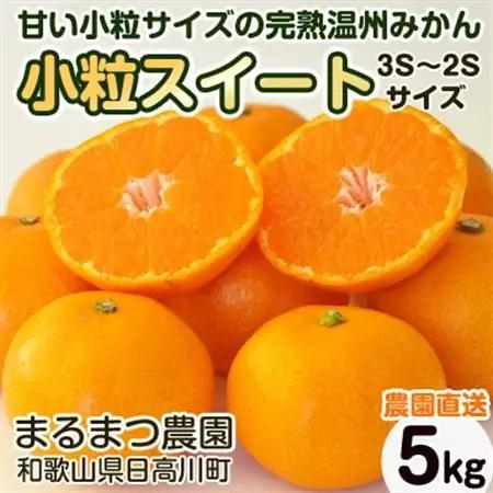 【2026年12月～2027年1月発送】濃厚完熟 木成り温州みかん 小粒スイート 5kg 和歌山県産【配送不可地域：離島】【1553369】