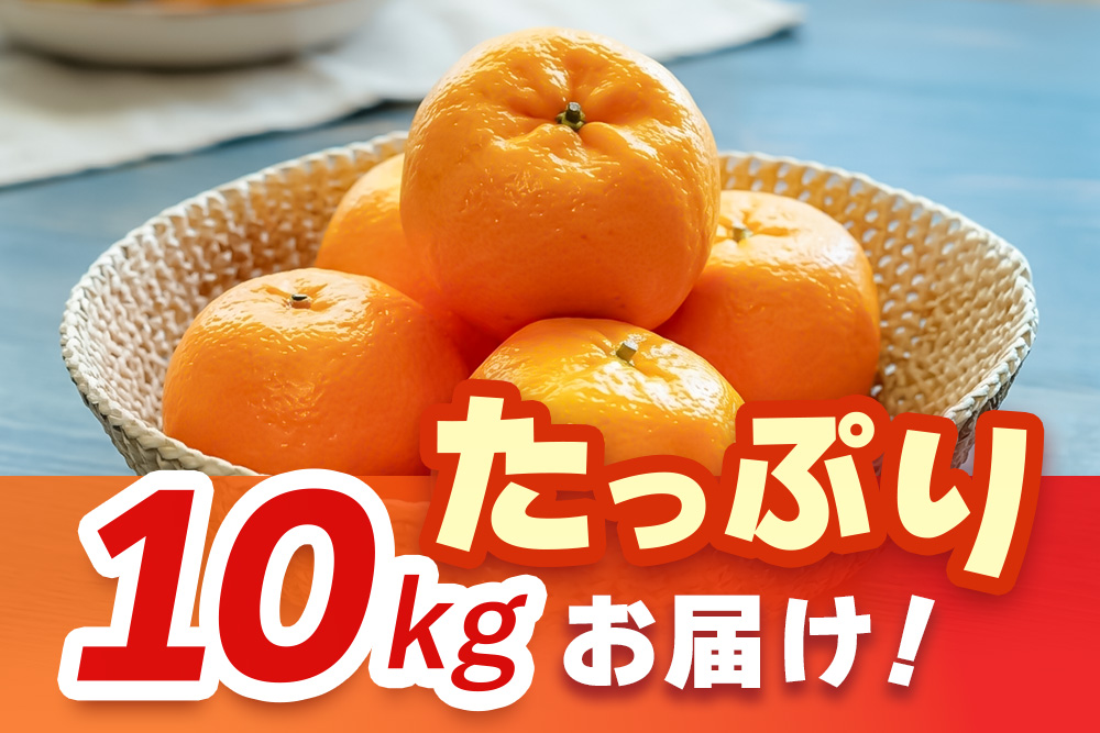 【2027年1月中旬より発送開始】ポンカン 10kg【みかん 柑橘 フルーツ デザート 貯蔵 高糖度】(H116147)