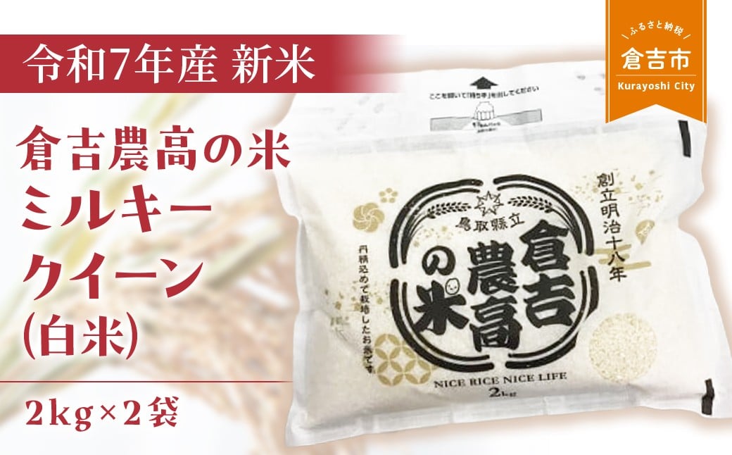 
            【令和７年産米】 倉吉農高の米　ミルキークイーン（白米）（2kg×2袋）令和7年産 新米 お米 米 こめ コメ 白米 ミルキークイーン 農業高校 コシヒカリ 金賞 倉吉市
          