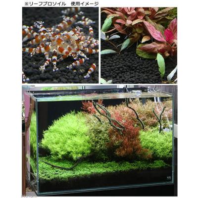 ふるさと納税 邑楽町 リーフプロソイル pHダウン 8L×3袋 株式会社チャーム charm|09_chm-dm0301 |  | 03