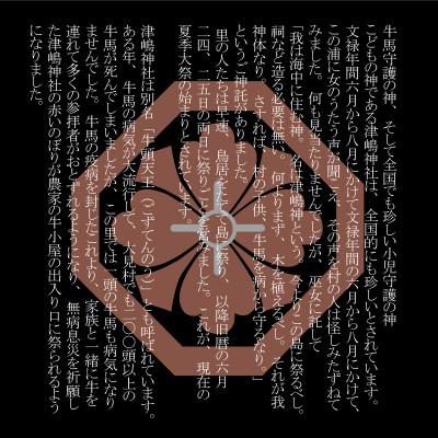 ふるさと納税 三豊市 【小児守護神 津嶋神社】特別通信祈祷『子どもの健やかな成長を願う』授与品:御神札・御守・撤饌・証明書 |  | 02