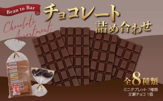Bean to Bar チョコレート詰め合わせ カカオ チョコレート チョコ 詰め合わせ 板チョコ 健康 からだに良い ギフト 手作り プレゼント バレンタインデー ホワイトデー 自分用 スイーツ お菓子 カカオ豆 東京 新宿 0057-001-S05