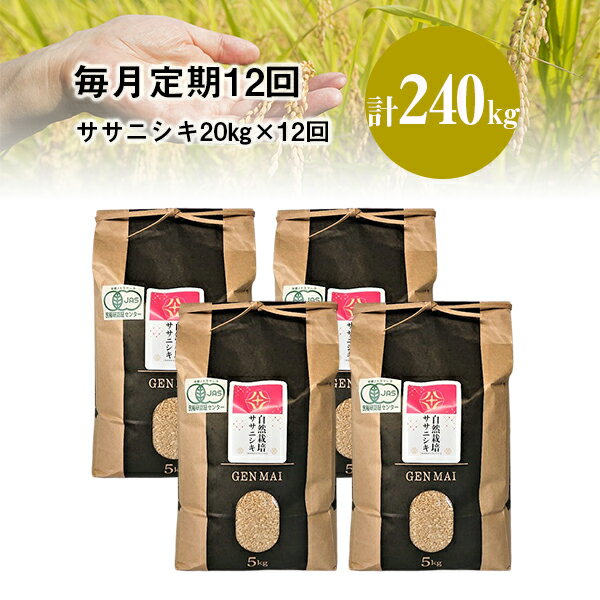 【ふるさと納税】《 新米先行予約 》定期便 12回 令和7年産 新米 自然栽培米 ササニシキ 20kg (5kg×4) 選べる 玄米 精米 お米 ご飯 米 岩手県 一関市