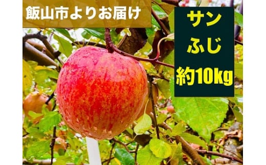 【先行予約】 サンふじ　約10kg（2024年産）(D-2.8)