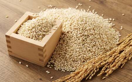 福岡県産 栽培期間中 農薬・肥料不使用 もち米【玄米】5kg 1袋 ／ 餅米 もち 米 お米 おこわ 赤飯 福岡県 筑後市