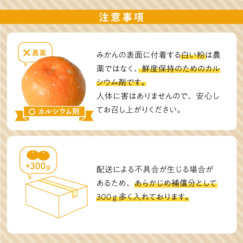 【2026先行予約】有田みかん 約3kg 【家庭用】 (S～Lサイズ混合)【まごころ手選別】_ZE6481