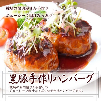 黒豚手作りハンバーグ＆さつま揚げ詰め合わせ A3-141【配送不可地域：離島】