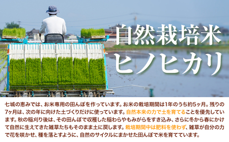 七城の恵み 詰め合わせ こだわりRed 自然栽培米 ヒノヒカリ 2kg 春風レッド メロン 1玉 株式会社七城の恵み《5月上旬から5月下旬に出荷開始》熊本県 菊池市 米 メロン ひのひかり つるたファ