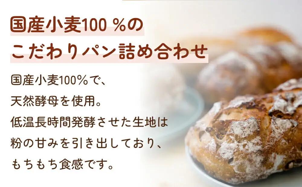 【定期便4ヶ月】名取 閖上 の ぱんやこてつ 手作り 国産小麦のハード系パンセット