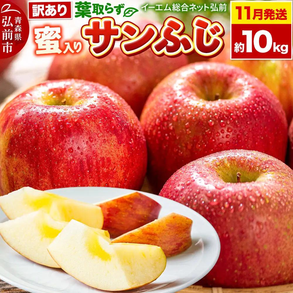 りんご 葉取らず サンふじ 訳あり 約10kg【11月下旬発送】りんご