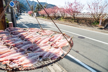 【水天丸水産】ひものセット⑥　（干物 ひもの ひものセット 手作りひもの 天日干しひもの 自家製造ひもの 手作りひもの アジひもの カマスひもの 金目鯛ひもの イワシひもの サンマひもの）