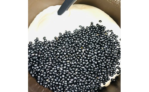 杵つき餅 黒豆 1kg（10個×2パック） / もち 餅 おもち もち 白餅 もち米 国産米 単一米 個包装 冷凍 年内発送【ibuk0004】