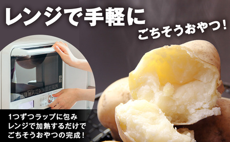 【10月発送！】【秋山農園】北海道産 レッドムーン5kg 野菜 いも 芋 じゃがいも 北海道ふるさと納税