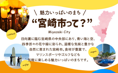 宮崎県宮崎市の対象ツアーに使えるHISふるさと納税クーポン 寄附額1000000円 クーポン 宮崎県宮崎市 ツアー