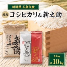 新米予約【味に自信あり】令和6年新潟県五泉市四ヶ村産食べ比べセット10kgコシヒカリ・新之助