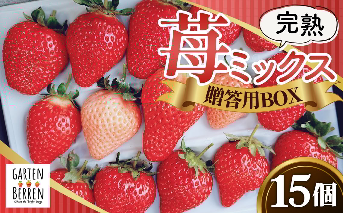 
            完熟苺ミックス15粒贈答用BOX ／ いちご 苺 大粒 完熟 ミックス 15粒 贈答用 BOX フルーツ 甘み 香り 果物 ギフト プレゼント 詰め合わせ 高級 旬 冷蔵配送 贈り物 送料無料 大阪府 No.399
          