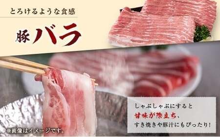 産地直送 宮崎県産 ホエー豚 しゃぶしゃぶ 食べ比べ セット 合計900g（300g×3パック）国産 豚肉 スライス
