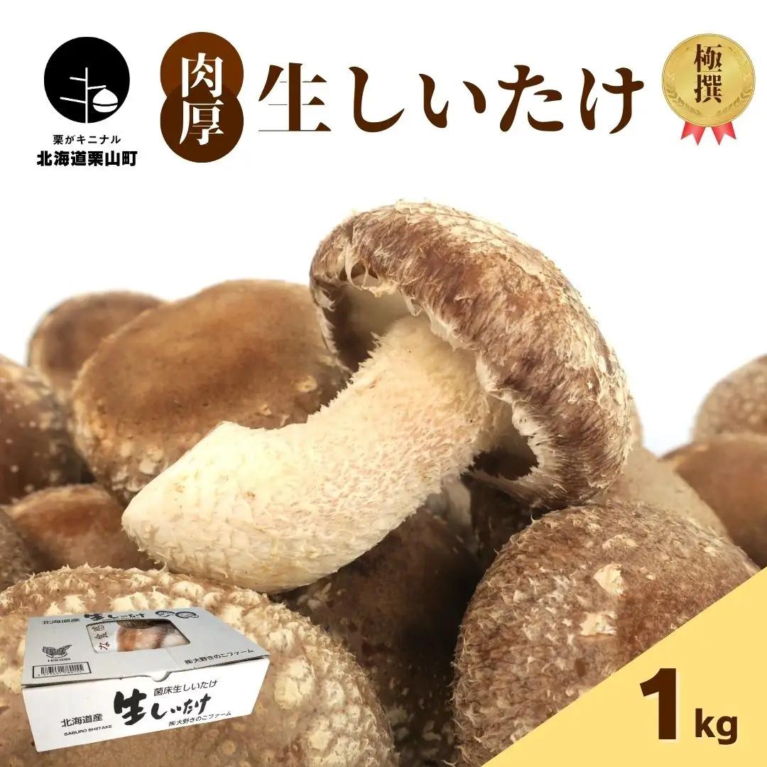 北海道の自然で育った極撰肉厚しいたけ【贈答にも】