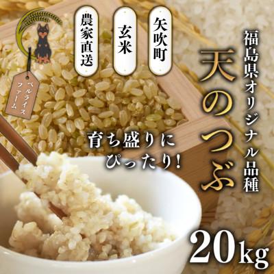 ふるさと納税 矢吹町 【R7年産先行受付】玄米 農家直送 ベルライスファームの天のつぶ 20kg