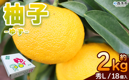 ＜柚子 秀 Lサイズ 18個＞ 約2kg 2000g ゆず 国産 果物 フルーツ 低樹高栽培 おいしい JAひがしうわ 東宇和農業協同組合 愛媛県 西予市【常温】『2025年10月下旬～11月下旬迄に