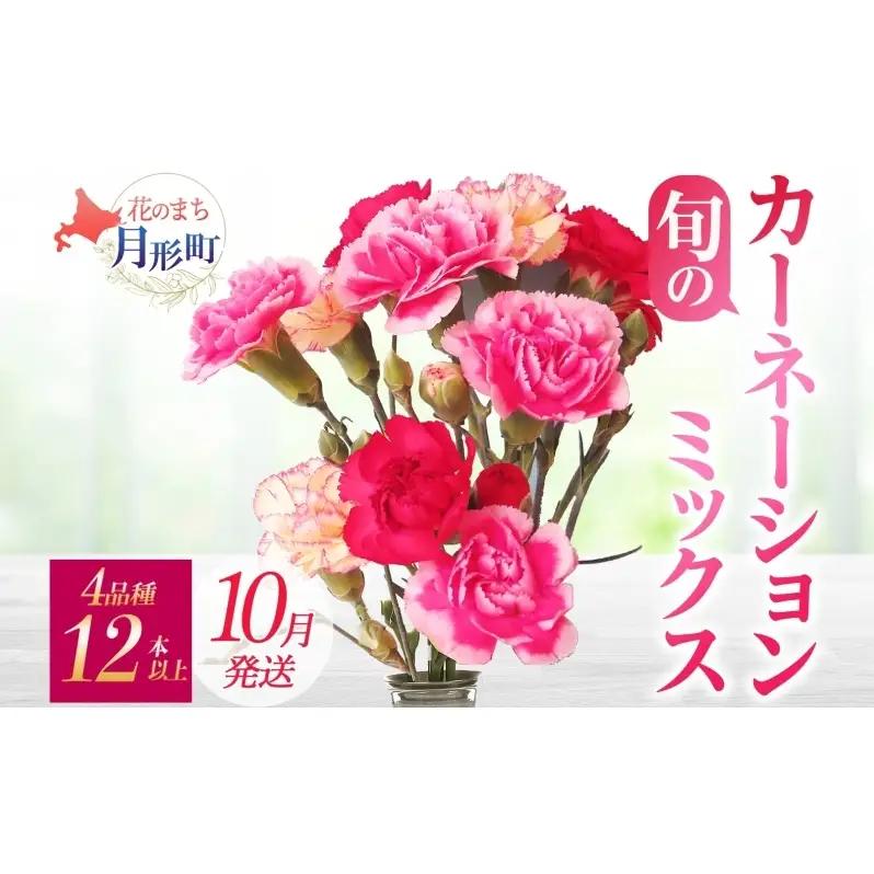 ＜10月配送＞ 北海道 カーネーション ミックス 4品種 12本以上 切り花 切花 花束 ブーケ 季節 旬 生花 フラワー アレンジメント 記念日 産地直送 つきがたふるさと花の会