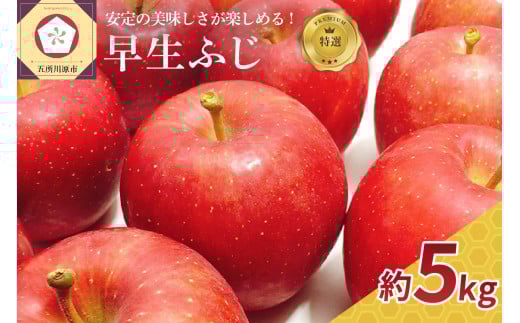 【2025年 10月発送】 りんご 約5kg 【特選】 早生 ふじ 【 青森 林檎 フジ リンゴ 】