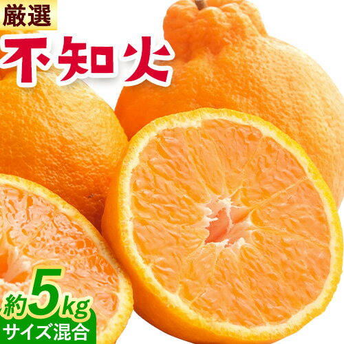 【ふるさと納税】みかん 不知火 厳選 5kg サイズ混合 GOGO農園《1月下旬-3月末頃出荷》 和歌山県 日高川町 しらぬい みかん 柑橘 蜜柑 フルーツ 送料無料