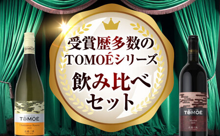 TOMOEワイン2本セット D ワイン 受賞 飲み比べ ワインセット ギフト 三次市 / 広島三次ワイナリー[APAZ026]