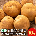 【ふるさと納税】有機ジャガイモ 10kg 《 たかのふぁーむ 》 いも 芋 じゃがいも 野菜 有機 北海道 積丹北海道ふるさと納税 積丹町 ふるさと納税 北海道 野菜 有機野菜 無農薬 オーガニック 通販 ギフト 贈答品 贈り物