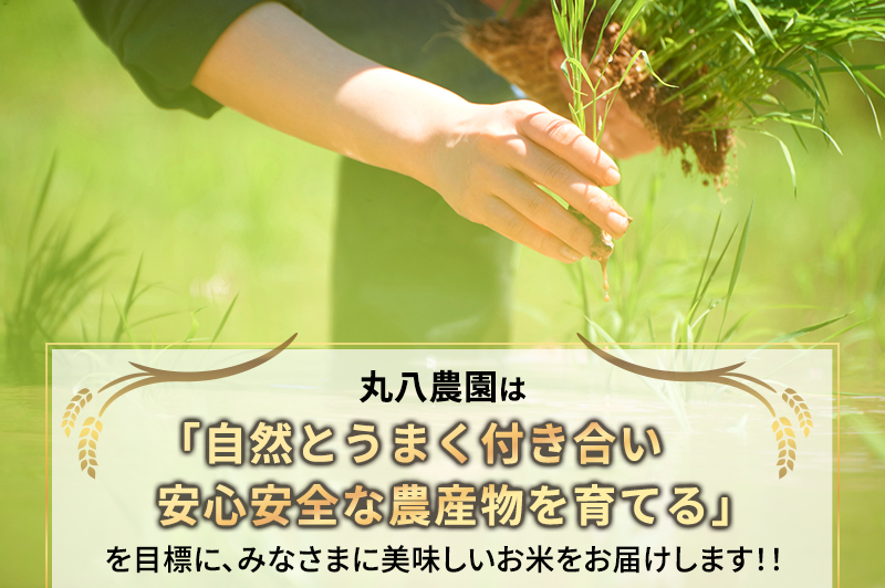 お米 令和7年度産静岡産コシヒカリ玄米5kg×2 米 コメ こしひかり コシヒカリ 玄米 袋井市 静岡県