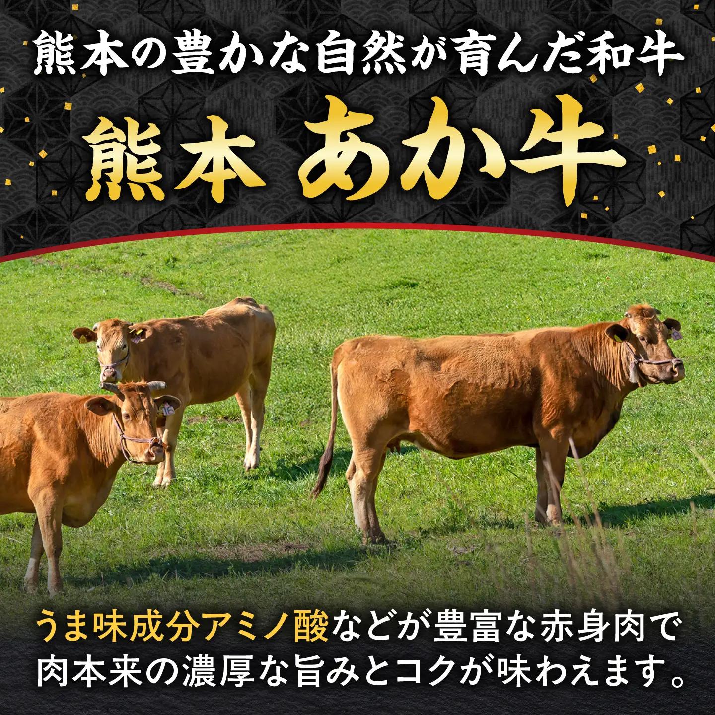 令和8年熊本地震復興支援 あか牛ヒレステーキ約300g(1~2枚)冷凍ヒレステーキAYCB076