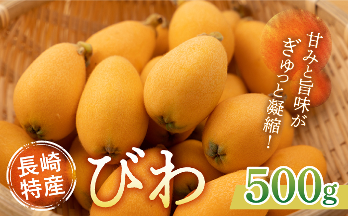 
【数量限定】長崎 びわ 12個入り（500g） 長与町/長崎西彼農業協同組合じげもん長与直売所 [EAF004] びわ 先行予約
