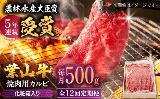 【全12回定期便】 葉山牛 焼肉用カルビ500g  / 牛肉 牛 肉 お肉 国産 赤身肉 やきにく 焼き肉 カルビ かるび BBQ ブランド牛 和牛 黒毛和牛 国産牛 贈答 ギフト 冷凍 葉山 定期 定期便 【有限会社葉山旭屋牛肉店】 [ASAP040]