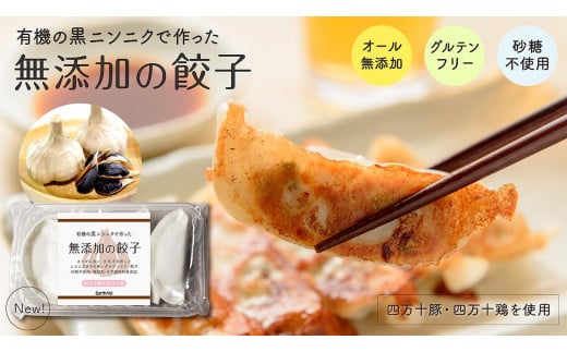 
            四万十豚で作った 最高級 餃子 有機 黒ニンニク 入り 冷凍 小分け グルテンフリー  無添加 完全無添加 オーガニック 米粉 化粧箱入り ぎょうざ 冷凍ぎょうざ 簡単調理 ギフト セット 高知県 須崎市 EA0831
          