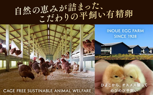 【12ヶ月定期便】定期便 お楽しみ 毎月届く《かながわブランド認定》平飼い有精卵さがみっこ 30個（10個×3パック）×12ヶ月 ｜ 神奈川県相模原市産 たまご 卵 鶏卵 玉子 たまご 生卵 平飼い ケージフリー 有精卵 国産 濃厚 旨味 卵焼き たまごかけご飯 朝食 ご褒美 ※離島への配送不可