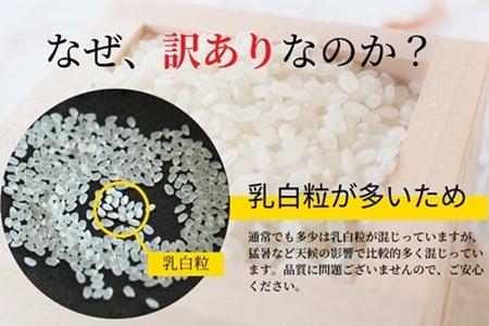 【訳あり】京丹波こしひかり 20kg 《 数量限定 》 