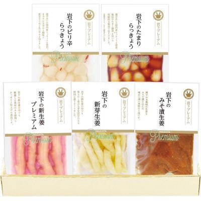 ふるさと納税 栃木市 岩下プレミアム特撰セット 5種5個詰合せ