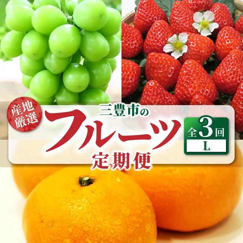【ふるさと納税】産地厳選三豊のフルーツ3回定期便 L