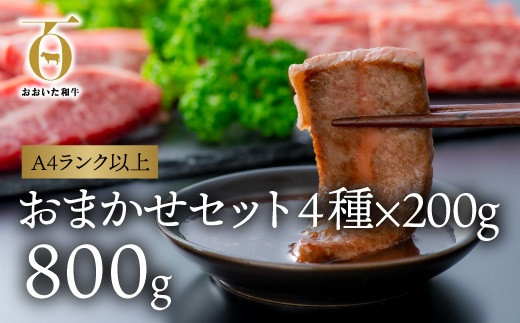 片桐さんのおまかせ焼肉セット（カルビ、おまかせ部位3種  各200g）計800g「おおいた和牛」