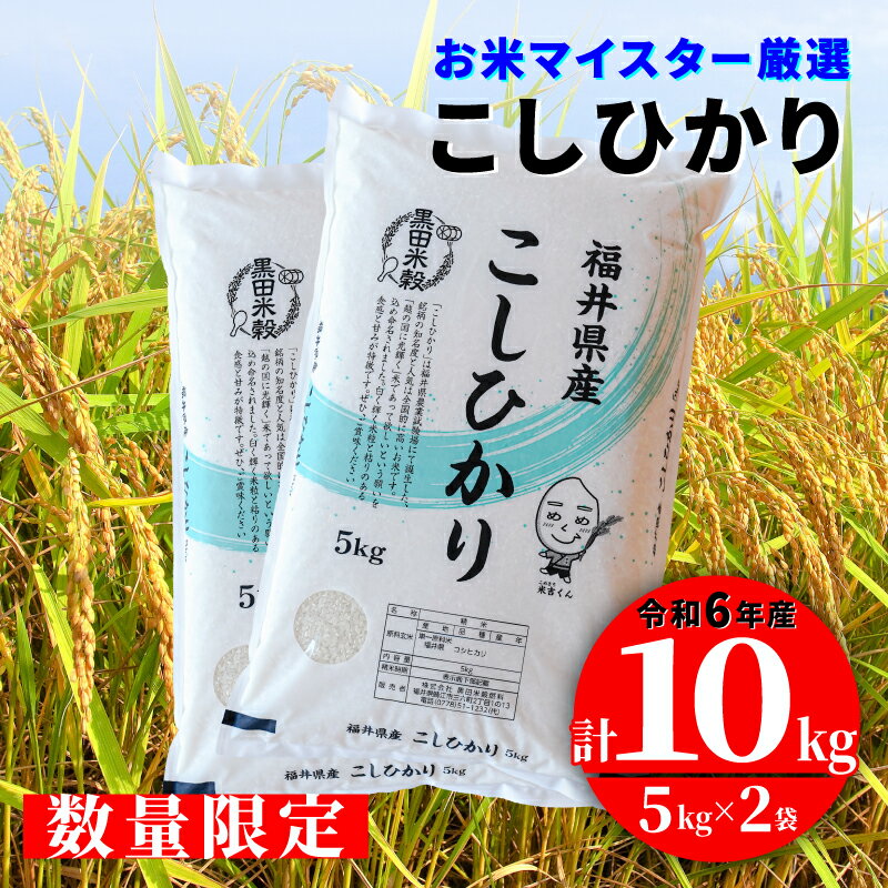 【ふるさと納税】【数量限定！30袋限定販売！！】※令和6年産※ コシヒカリ 10kg（5kg × 2袋） [C-02016] / お米 精米 白米 こしひかり コシヒカリ 小分け 便利 弁当 ごはん ご飯 コメ おにぎり ブランド 米 常温 配送 10kg