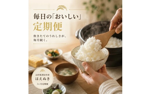10月下旬発送開始／【令和8年産 新米予約】≪3回定期便≫ はえぬき【精米】　5kg×3回(計15kg)　「農家直送」 IN SC0768