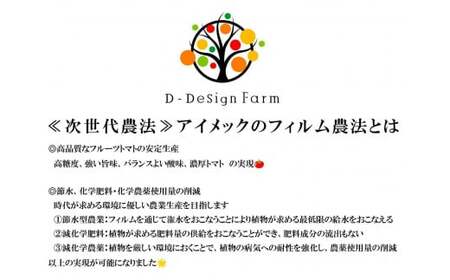 【訳あり】 フルーツトマト 約1kg 品種：フルティカ 不揃い 大容量 人気 数量限定 トマト